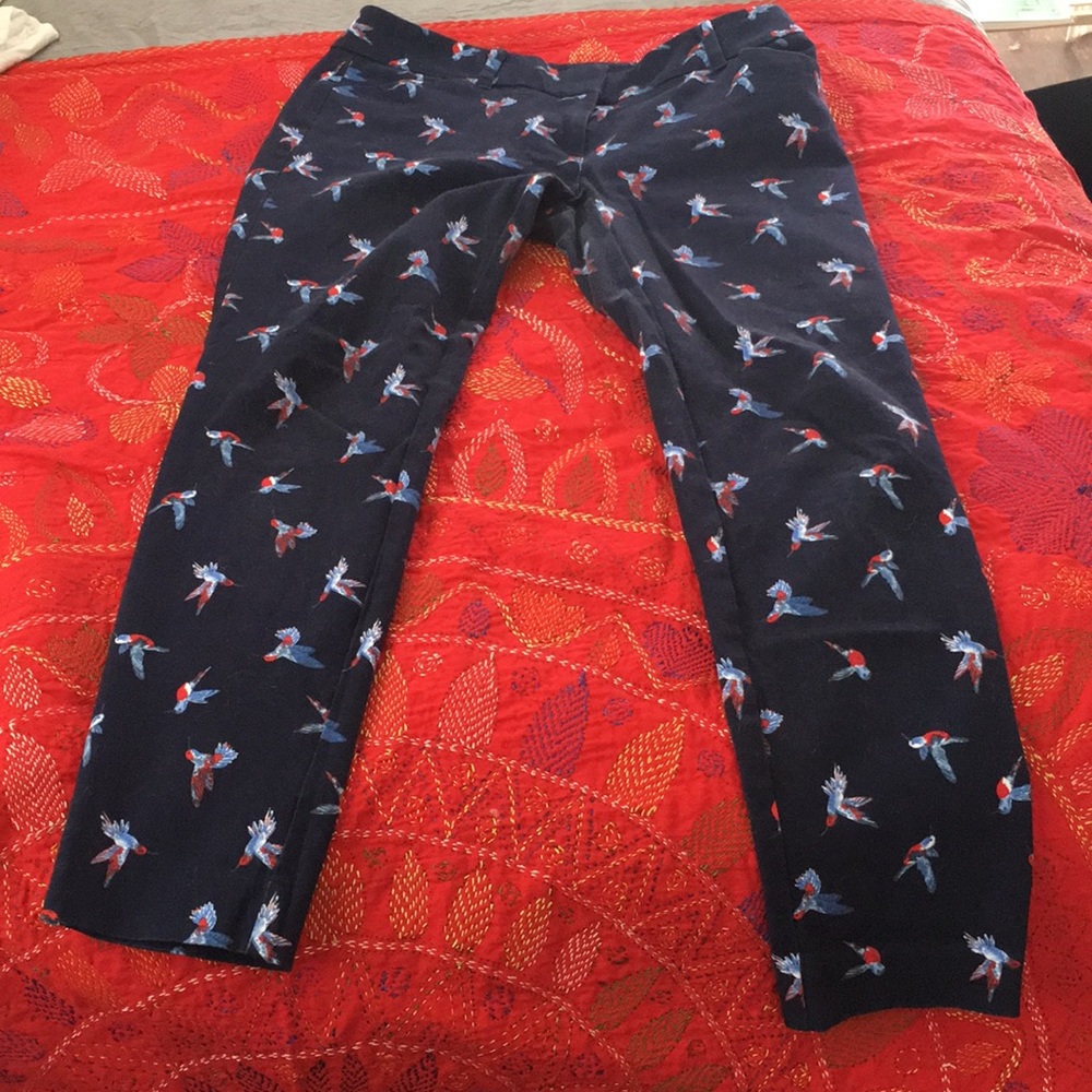 new york & company dress pants